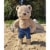 Bear Jean Shorts Perspective: left
