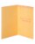 Papyrus Mother's Day Card (Floral Pineapple) Perspective: left