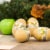 Dino Baby Eggs Set Toy Perspective: left