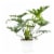 Premium Tropical Plant Perspective: left