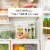 Freshpet Healthy & Natural Dog Food, Fresh Chicken Recipe Perspective: left