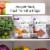 Freshpet Select Moisture Rich Tender Bites Tender Chicken Recipe Cat Food Perspective: left