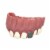 Glow in the Dark Pirate Teeth Children's Halloween Costume Accessory Perspective: left