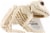 Seasons Frog Skeleton Decoration Perspective: left