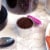 2-Pack Cafe Fill Stainless Steel By Perfect Pod | Reusable K Cup Coffee Pod Metal Filter, Com Perspective: left