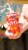 SweetWater Brewing Company Gummies Fruit Punch Perspective: left
