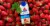 Atkins Strawberry Protein Shake Perspective: left