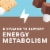 ZonePerfect Fudge Graham Energy Bars Perspective: left
