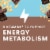 ZonePerfect® Oatmeal Chocolate Chunk Nutrition Bars Perspective: left