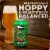 Dogfish Head 60 Minute IPA Beer Perspective: left