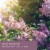 Tuscany Candle™ Wax Melts Lilac Blossom Perspective: left