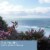 Tuscany Candle™ Wax Melts Sea Heather Perspective: left