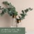 Tuscany™ Fragranced Wax Melts Soothing Eucalyptus Perspective: left