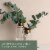 Tuscany™ Fragranced Wax Melts Soothing Eucalyptus Perspective: left