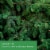 Tuscany™ Scented Jar Candle Forest Fir Perspective: left