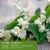 Tuscany Jar Candle Triple Pour White Jasmine Perspective: left
