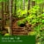 Tuscany™ Scented Triple Pour Jar Candle Woodland Path Perspective: left