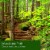 Tuscany™ Scented Triple Pour Jar Candle Woodland Path Perspective: left