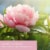 Tuscany Candle™ Triple Pour Jar Candle Peony Blossom Perspective: left