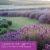 Tuscany Color Splash Collection Jar Candle Lavender & Chamomile Perspective: left