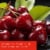 Tuscany Scented Jar Candle Cherry & Spiced Oud Perspective: left