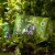 Squatters® Hop Rising® Double IPA Craft Beer Perspective: left