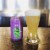 Squatters® Craft Beers Juicy IPA Beer Perspective: left