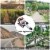 1300W 2 Stroke T Post Driver 51.7CC Gas Powered Portable Fence Pile Hammer Perspective: left