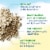 Garden of Life® Original Raw Organic Fit High Protein Whole Food Dietary Supplement Powder Perspective: left