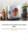 Uber Appliance Personal/Portable Mini Fridge 12 can Cooler/Warmer|indoor/outdoor|Home/office Perspective: left