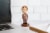 The Office Dwight Schrute Bobblehead Collectible Figure | Stands 5.5 Inches Tall Perspective: left