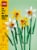 Lego® Daffodils 40747 Building Set Perspective: left