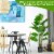2-Pack 5 ft Artificial Tree Potted Fake Faux Monstera Deliciosa Plant Home Office Perspective: left