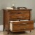 Pemberly Row 2 Drawer Lateral File Cabinet in Washington Cherry Perspective: left