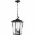Z-Lite Beacon 2 Light 18  Clear Glass Aluminum Outdoor Pendant in Black Perspective: left