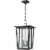 Z-Lite Seoul 2 Light Clear Glass Aluminum Outdoor Chain Mounted Pendant in Black Perspective: left