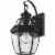 Z-Lite Westover 14"" Clear Glass Brass Outdoor Wall Sconce in Black Perspective: left