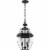 Z-Lite Westover 3 Light Clear Glass Brass Outdoor Chain Mounted Pendant in Black Perspective: left