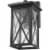 Z-Lite Brookside 18  Seedy Glass Aluminum Outdoor Wall Sconce in Black Perspective: left