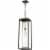 Z-Lite Dunbroch Clear Glass Aluminum Outdoor Pendant in Deep Bronze and Brass Perspective: left