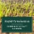 MVS® Quick Green Grass Seed Mix - 10Lb Perspective: left