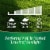 Nature's Own® Western Sun & Shade Mix Grass Seed Perspective: left