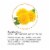Botanic Choice Dandelion Root Liquid Extract Perspective: left