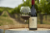 Talbott Logan Pinot Noir Perspective: left