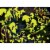 MasterPieces® Glow in the Dark Hidden Images™ Unicorn Retreat Puzzle Perspective: left
