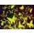 MasterPieces® Glow in the Dark Hidden Images™ Metamorphosis Puzzle Perspective: left