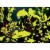MasterPieces® Glow in the Dark Hidden Images™ Secrets of the Deep Jigsaw Puzzle Perspective: left