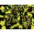 MasterPieces® Glow in the Dark Hidden Images™ Mystery of the Jungle Jigsaw Puzzle Perspective: left