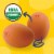 Eggland's Best Cage Free Large Brown Organic Eggs Perspective: left