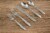 Cambridge Silversmiths Jude Flatware Set - Mirror Perspective: left
